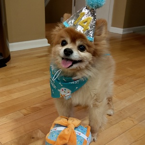 Fundraising Page: Amanda Gansky